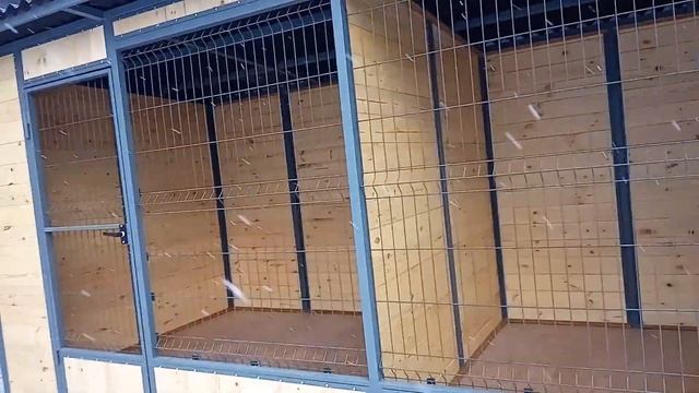 2022 вольер для собак породы шпиц смотреть онлайн