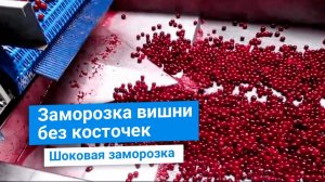 Замороженная вишня без косточек - продукт с высокой маржинальностью