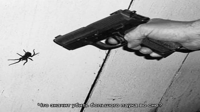 Почему нельзя убивать пауков дома: приметы, поверья смотреть онлайн