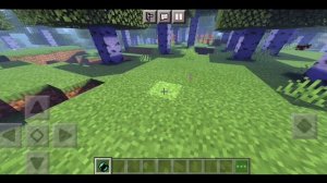 Мод на превращение в мобов в майнкрафт пе как на пк