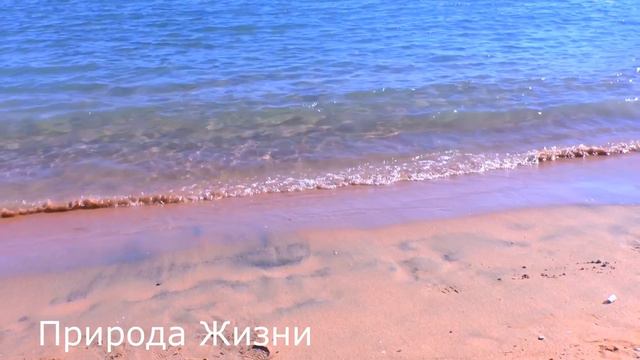 Зимнее Солнцестояние Декабрь 2023. История Наука Прогноз