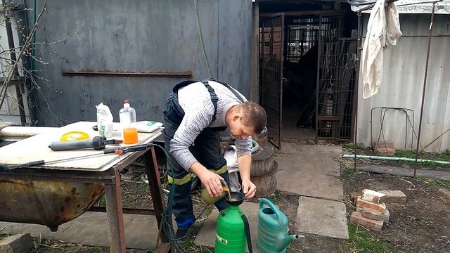 Железный купорос Весенняя обработка(опрыскивание) винограда железным купоросом #железныйкупорос смотреть онлайн