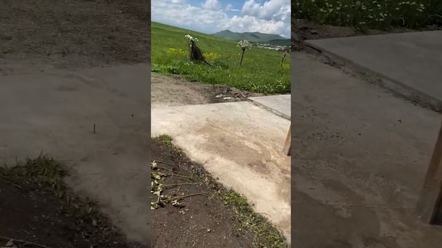 Lerniki Karen - Misht Khishenq Ax Karen jan 