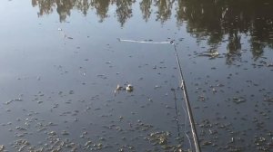 Песня про рыбалку)