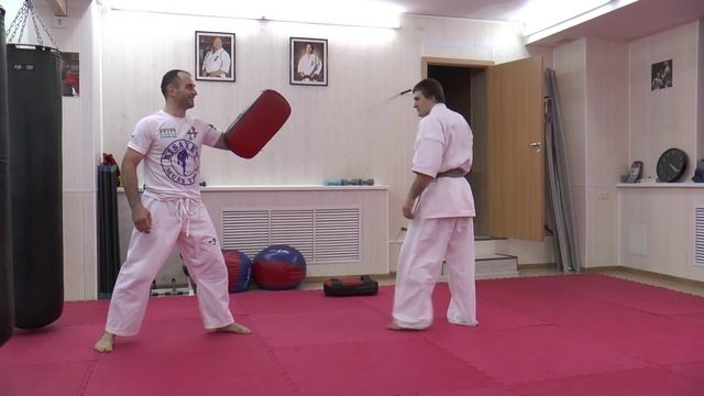 Fighting Techniques Magomed Mitsaev - fast kick mawashi geri смотреть онлайн