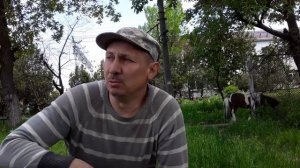 Покупка Коня.  Что нужно Для Покупки Лошади. Проблемы при покупке. Документы / Анализы