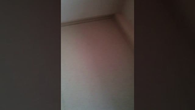 Змейка из деревяных кубиков смотреть онлайн