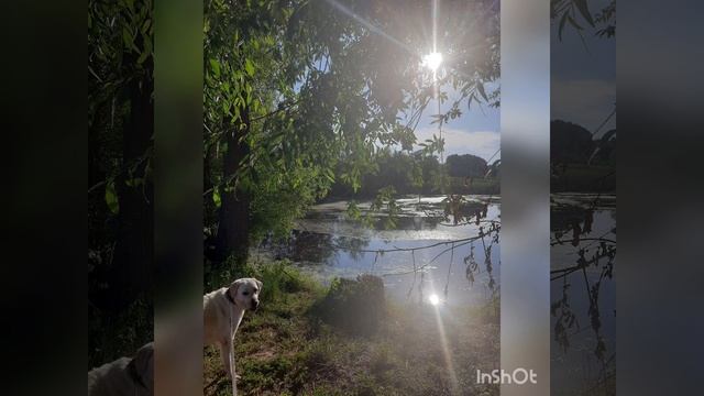 Ах, какая благодать! смотреть онлайн