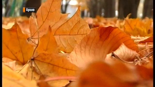 Приметы ноября. смотреть онлайн