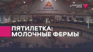 Пятилетка: Тюменские молочные фермы