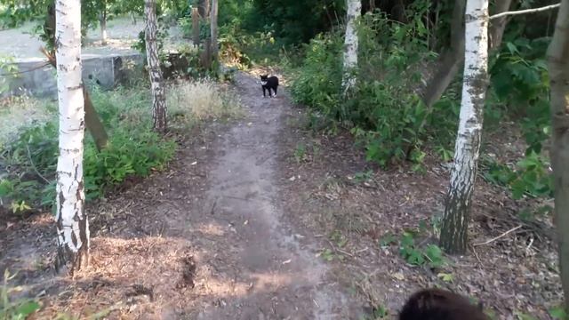 Славянск. 4 июля 2022г. Вечер. смотреть онлайн