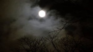 Adiemus - Miriam Stockley :   The Full Moon    Dec.28 2012