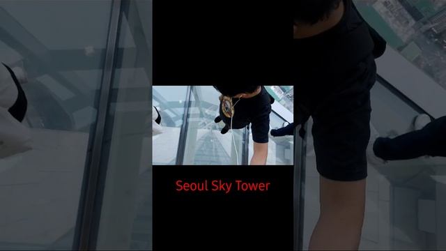 @ Seoul Sky Tower