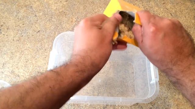 РАЗВЕДЕНИЕ МУЧНОГО ЧЕРВЯ В ДОМАШНИХ УСЛОВИЯХ С ЧЕГО НАЧАТЬ МУЧНОЙ ХРУЩЯК ЛИЧИНКИ МУЧНИК