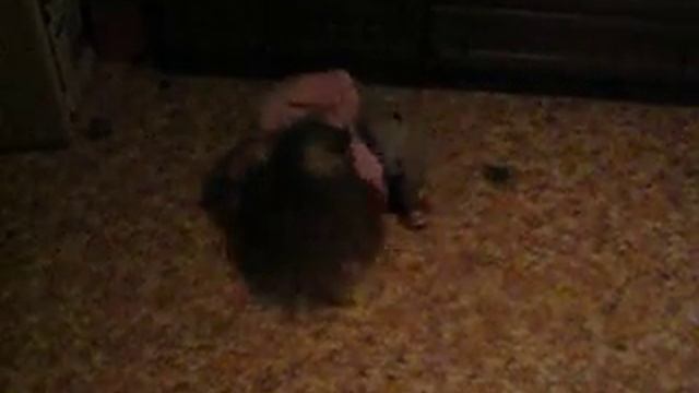 Нижний брейк)))) смотреть онлайн