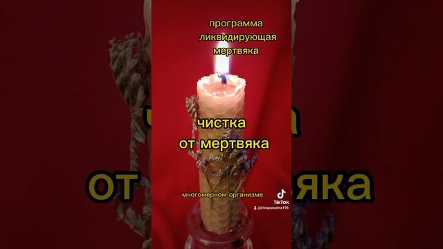 чистка от мертвяка. программа ликвидирующая мертвяка