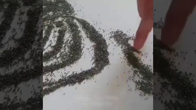 Необычный художник