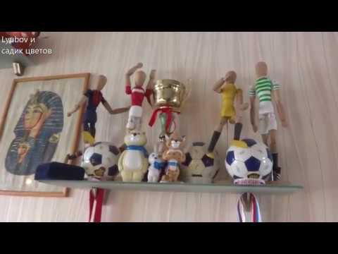 Комнатные цветы/растения. Обзор цветочных полок июнь 2019 (3 часть).