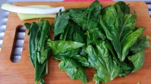 Зелёный Борщ из Щавеля, Шпината и Зелёной стручковой Фасоли. Летний быстрый суп/Soupe Bortsch vert.