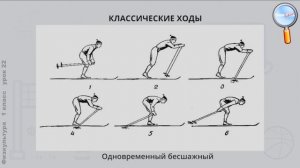 Физическая культура 1 класс (Урок№22 - Передвижение на лыжах одновременным одношажным ходом.)