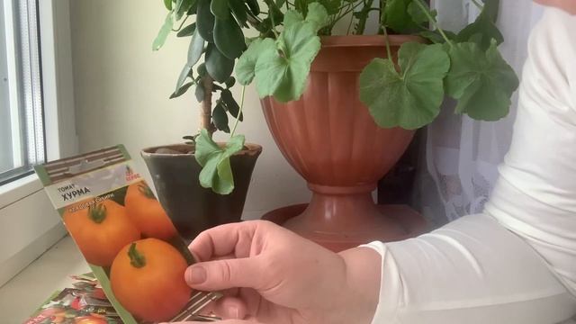 Выбираю сорта томатов для посева. ???Посадка томатов на рассаду.???