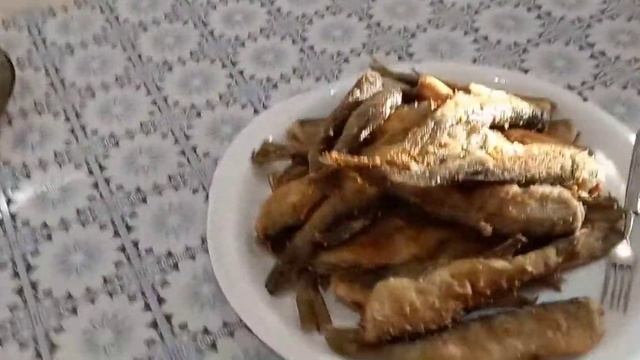 Рыбный день ? смотреть онлайн