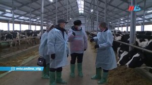 Волгоградское предприятие планирует выпускать 32 тонны молока в год.mp4