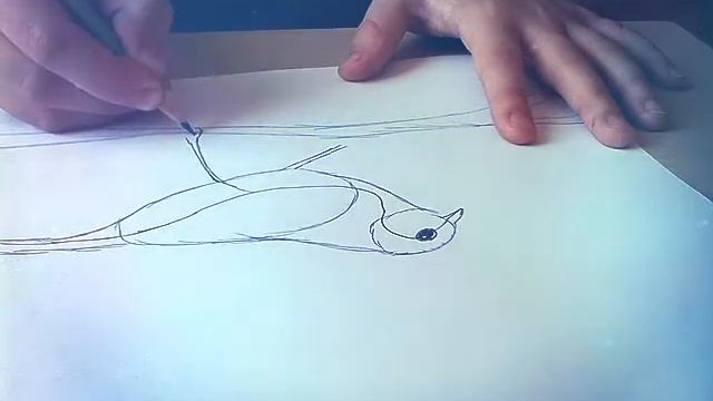 как легко нарисовать синичку))))) смотреть онлайн