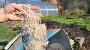 Успейте внести в октябре! После поливов земля больше не будет каменеть! Применение опилок в саду.