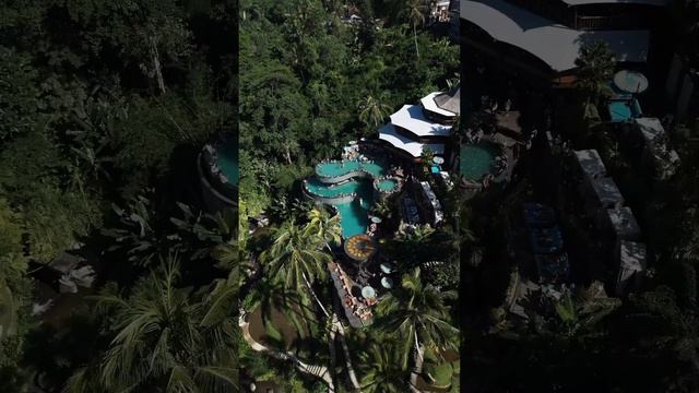 Discovering Bali's Hidden Gem: Creteya Ubud Hotel #bali #ubudbali