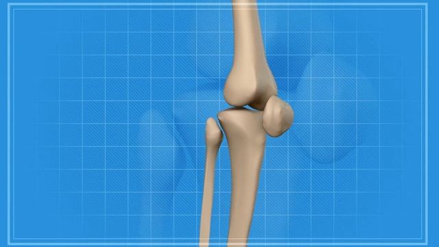 Выпейте эти 2 продукта вместе и Жир с ЖИВОТА Уйдет за Несколько ДНЕЙ смотреть онлайн