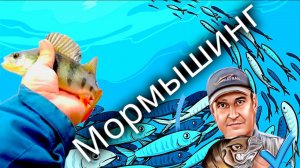 Окунь на мормышинг