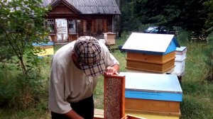 Живу на хуторе в Латгалии у пчёл без костюма работает оператором. Хутор LV