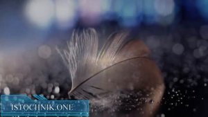 ЧИСЛА АНГЕЛА - значение повторяющихся цифр