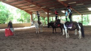 Carolina debout sur son cheval blanc