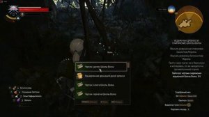 ШКОЛА ВОЛКА ВСЕ ЧЕРТЕЖИ ( первый сет ). Локация Каэр Морхен.