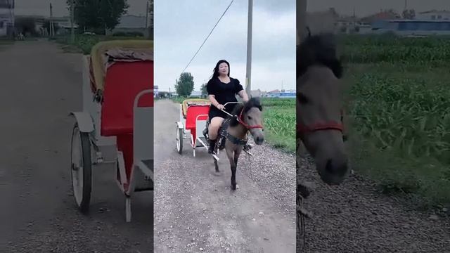 It is fun to ride the horse