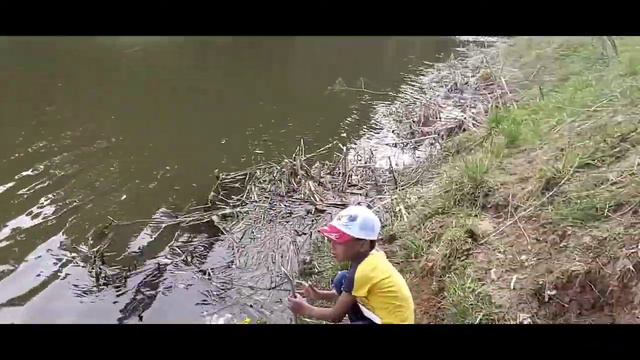 Путешествие на карантине. Путешествуем по деревне пока города и страны закрыты.🌲🌻🌾🌳 смотреть онлайн