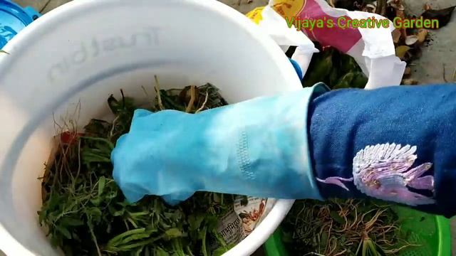 How to convert kitchen waste into compost quickly || How to useTrust Bin composter part 1 смотреть онлайн