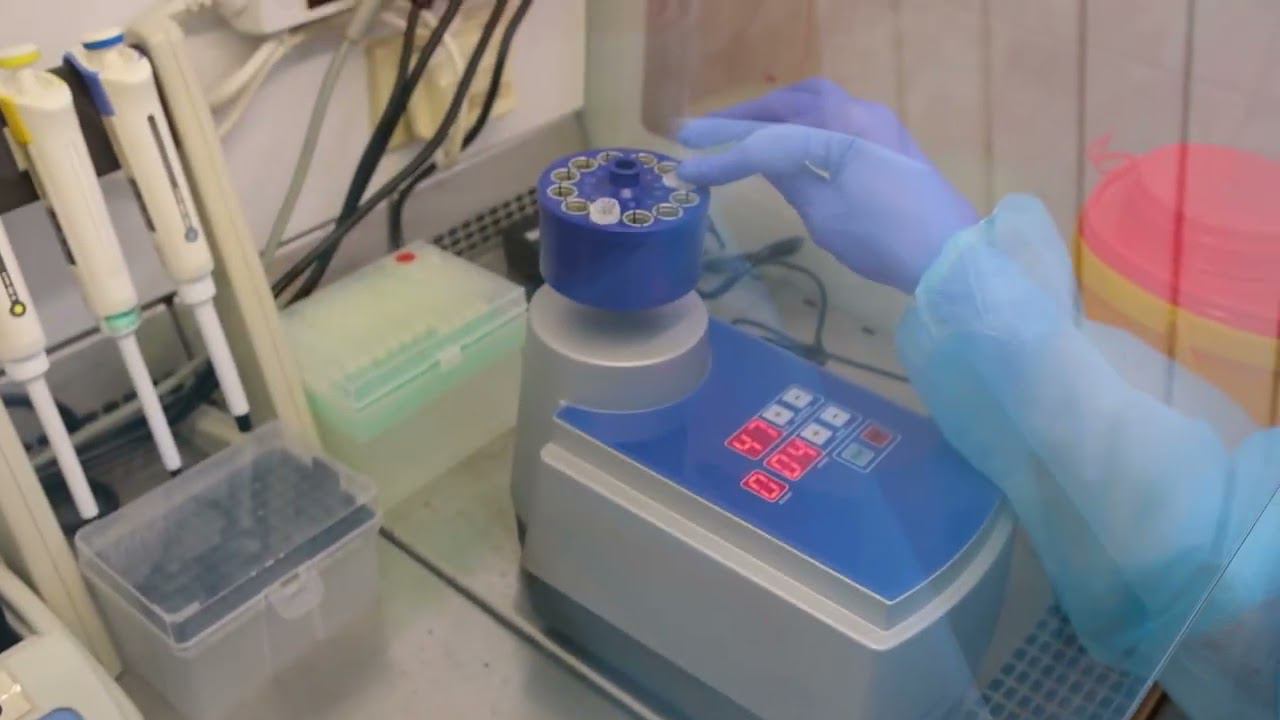 Как происходит исследование клеща на 4 инфекции в лаборатории? смотреть онлайн