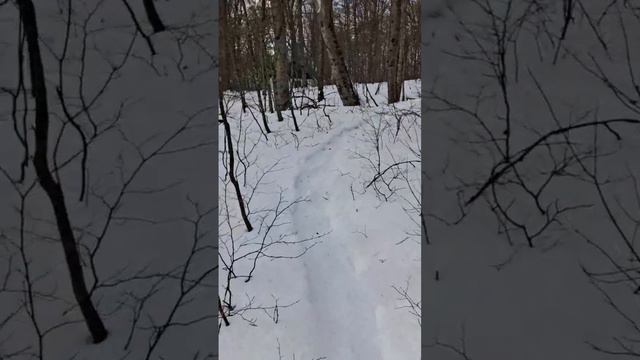 Идем по снегу #гораКазачья2024 #гораКазачьяГеленджик #СанядругНовороcc #pohodpriroda смотреть онлайн