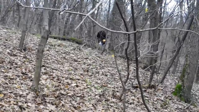 КОПАЕМ С ОТЦОМ ПО ГЛУБОКИМ БАЛКАМ! УДАЧНЫЙ ПОИСК НАШЛИ МОНЕТЫ...СЕРЕБРО...ДРЕВНОСТИ!