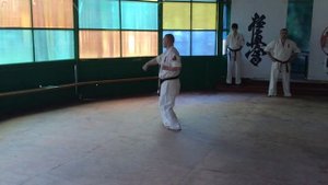 Цки но ката