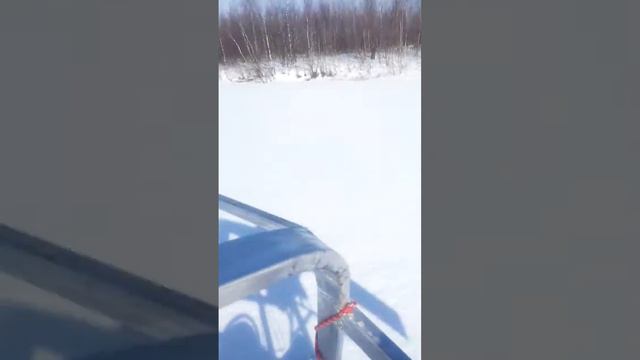 Надым аэросани протока смотреть онлайн