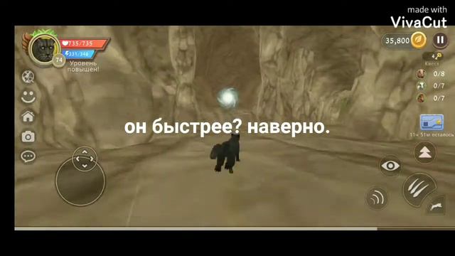 топ 5  животных которых недооценивают