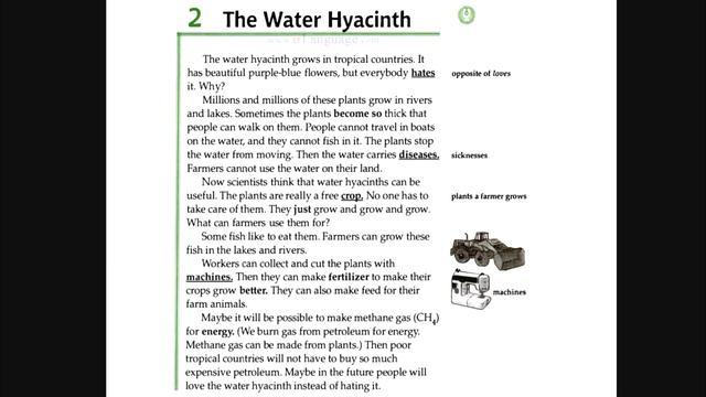 Facts and Figures - Unit 3: Plants - Lesson 2: The Water Hyacinth смотреть онлайн