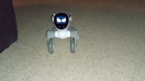 Loona Robot