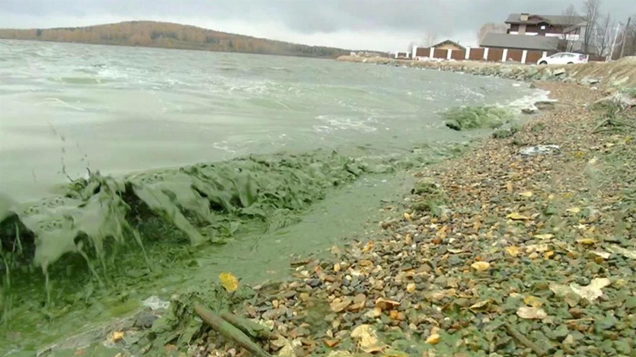 В Нижнем Тагиле выясняют причины изменения цвета городского пруда