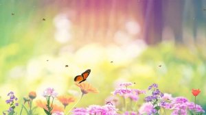 Детский футаж