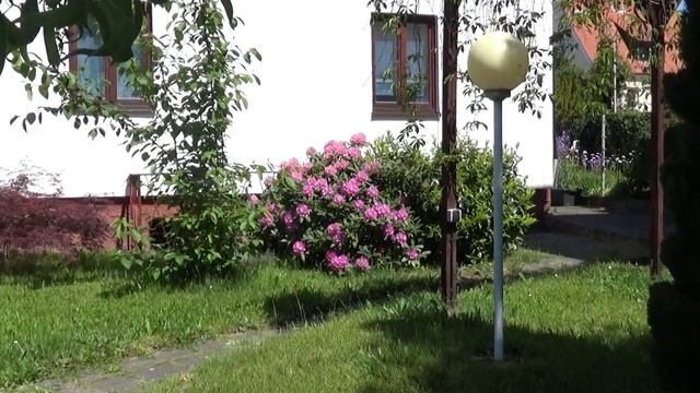 И для чего заборчик? ? And what is the fence for?